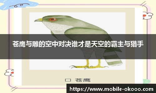 澳客体育登录入口